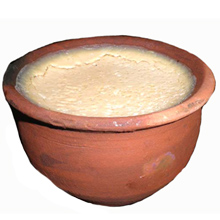 Mishti Doi